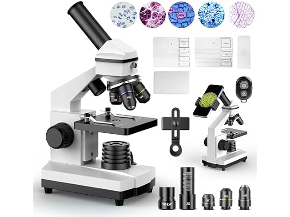 PalliPartners Compound Microscope