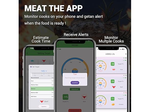 AIBBQLIFE  Wireless Meat Thermometer