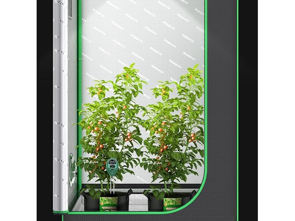 VIVOSUN GAR-77 (2 Pack) VIVOSUN 3-in-1 Soil Meter