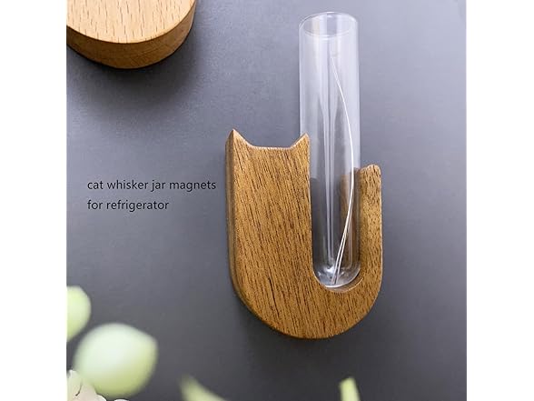 SPNDOB Petite Glass Cat Whisker Collector 2PK