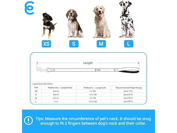 Blueberry Pet Essentials Reflective Better B