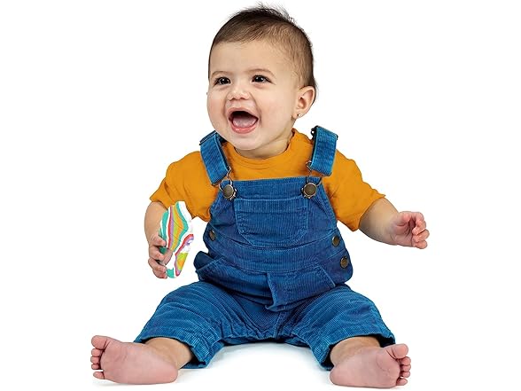 Bright Starts Soothing Soft Serve Silicone Teether