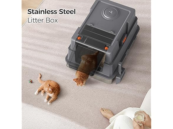 Extra Large Cat Litter Box