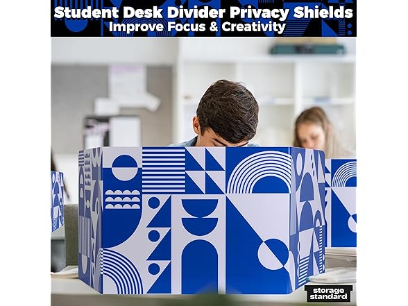Storage Standard 22-Pack Desk Dividers