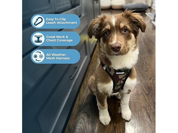 All Weather Mesh No-Pull Harness