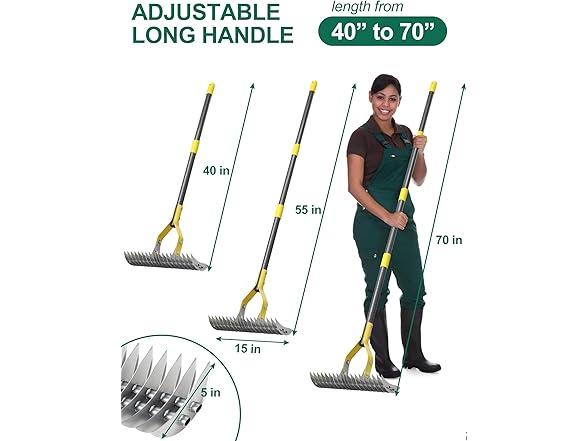 Thatch Rake, 2-in-1
