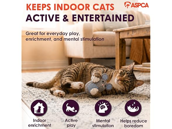 ASPCA Chirping Bird Cat Toy – Catnip-Infused