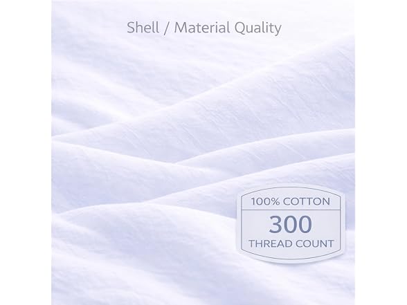 White Down Pillow and Cotton Protector