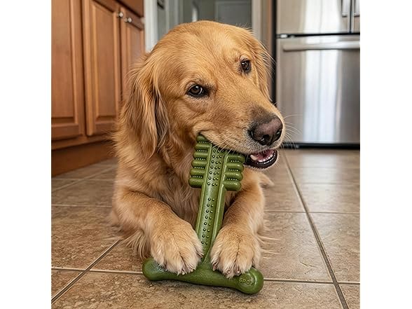 SPOT Bam-Bones Plus Toothbrush Dog Chew Toy