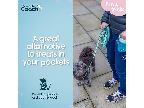 Company of Animals Coachi Puppy & Mini Treat Pouch