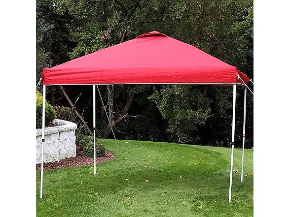 Sunnydaze 10x10 Ft. Premium Canopy Shade with Vent