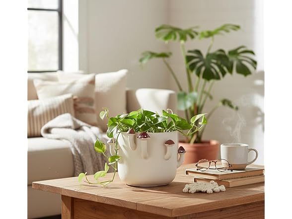 Large Sprouting Mushroom Planter