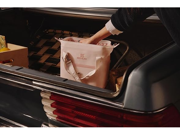 Stanley All Day Julienne Mini Soft Cooler Bag and Lunch Box,  Daffodil