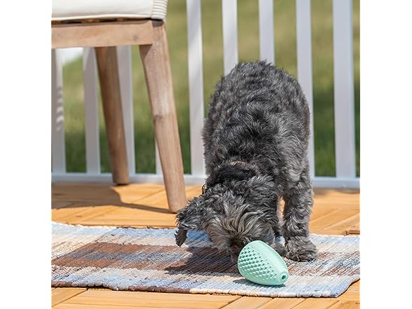 Chew King Treater Dental Dog Toy