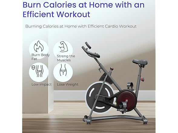NAYSAYE Exercise Bike