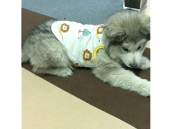 FOTN Dog Clothes: Cute Dog Shirt to Prevent Shedding