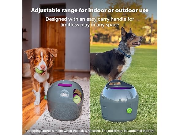 PetSafe Automatic Dog Ball Launcher