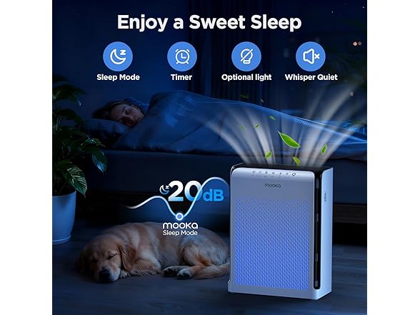 RGB Outdoor Lights Pro 200ft