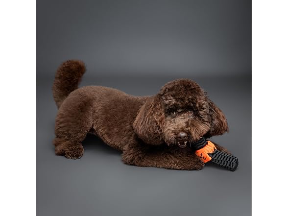 NOAH & PAW Luxury Dog Toy, Dog Rope Toy- Y Flyer, Black