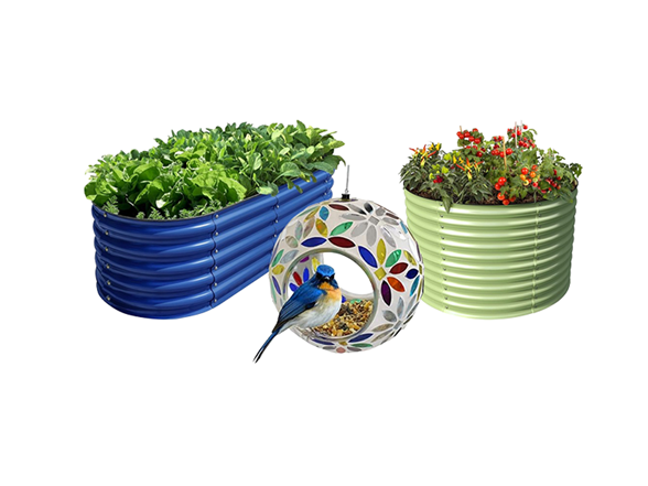 Fall Gardening