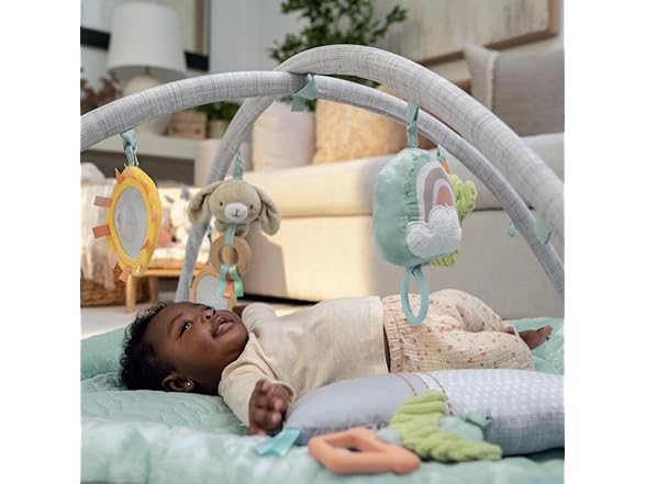 Ingenuity Calm Springs Plush Activity Gym
