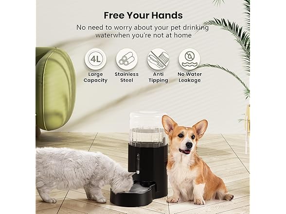 CZPET Dog Water Bowl Dispenser