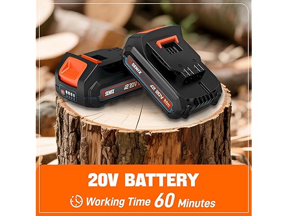 1.2 HP 10" SENIX Cordeless Chainsaw 