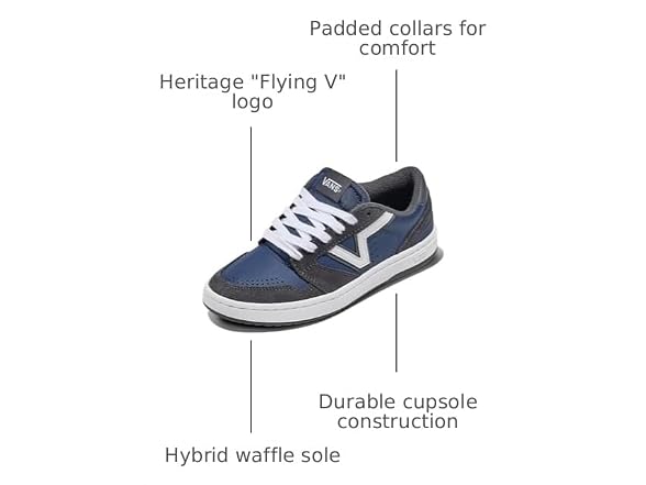 Vans Unisex Lowland 2.0 Shoe - '80s Retro Court