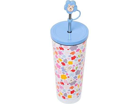 Disney Winnie the Pooh Spring, Stainless Steel 24oz