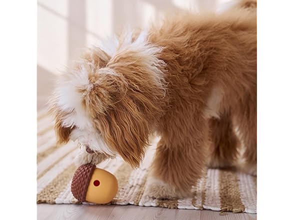 SPOT Treat Tumbler Acorn – Freezable & F