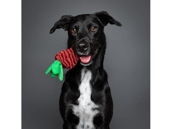 NOAH & PAW Luxury Dog Toy, Strawberry