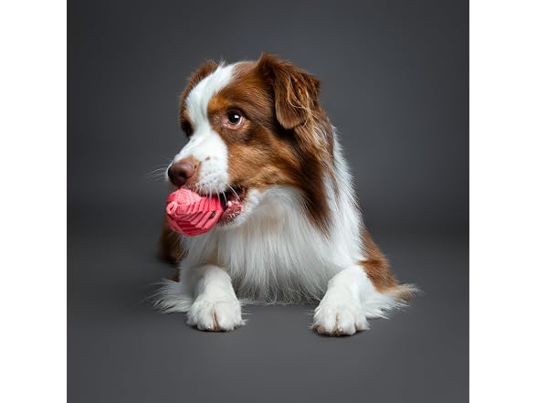 NOAH & PAW Luxury Dog Toy, Dog Rope Toy- Football, Pink