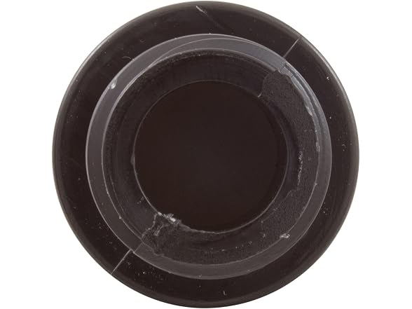 Pentair Rainbow 320 Check Valve, 1/2 in.