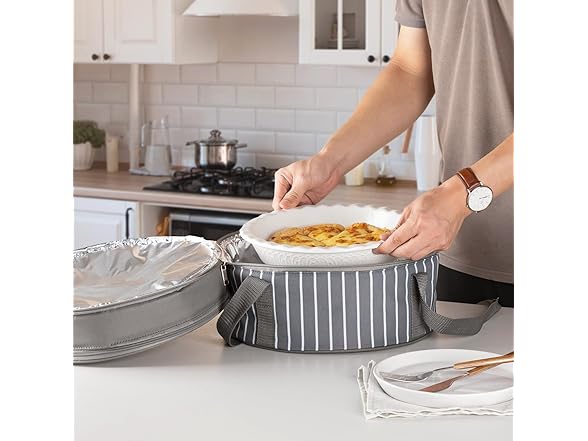 Fun Elements Insulated Casserole Carrier