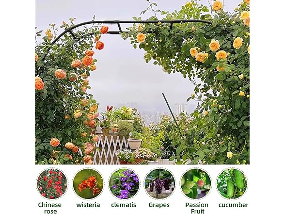 Garden Arch Arbor Trellis 59"x94.5"