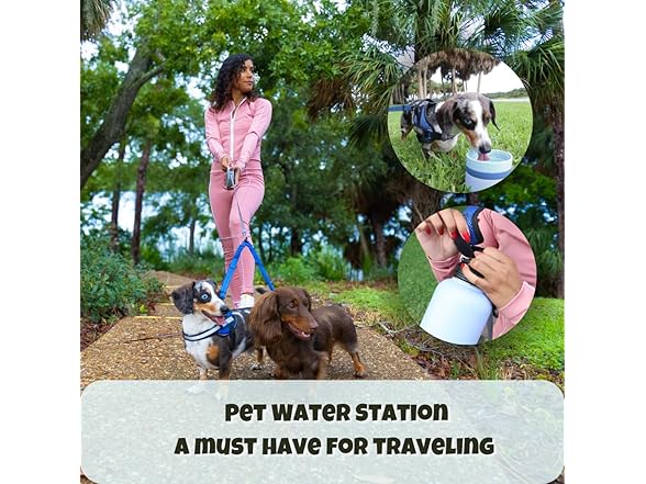 OhmyPet Pet Water Bottle Station with 3 Bowls