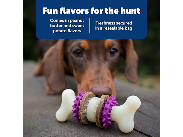 PetSafe Busy Buddy Dog Treat Rings