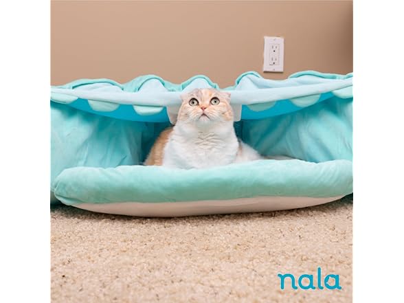 Caitec Presents Nala Cat Tunnel Bed