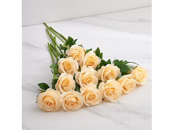 Helera 12pcs Champagne Roses Artificial