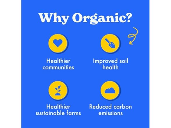 MadeGood Blueberry Bars 5ct