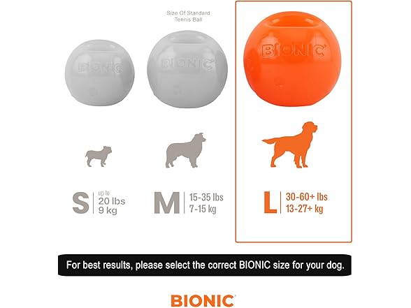 BIONIC Large Dog Chew Ball