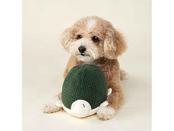 Harry Barker Durable Plush Dog Toys, Turtle