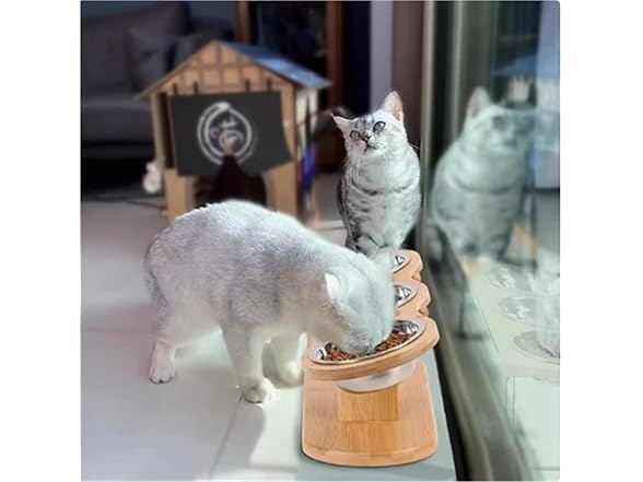 SPXTOM Cat Feeding Station