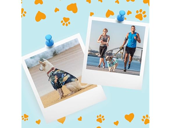 Weewooday 4 Pieces Small Pet Summer T-Shirts 