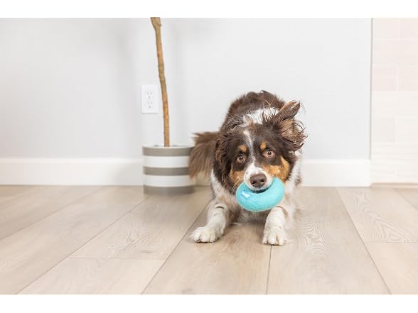Chuckit! Chuckit! Woolee PlasticFree, Blue