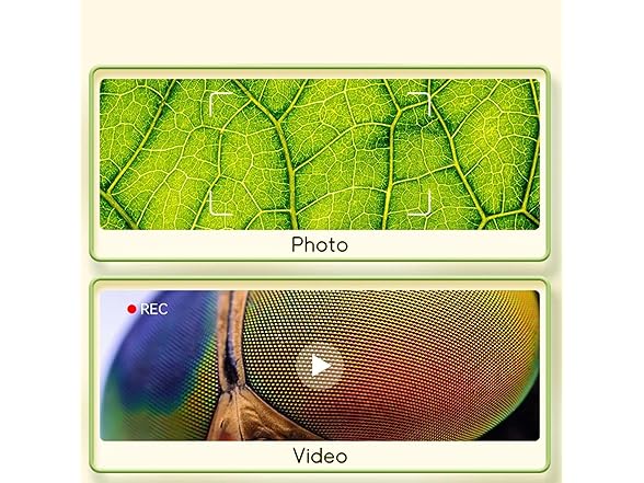 MODBOX: LCD Discovery Microscope