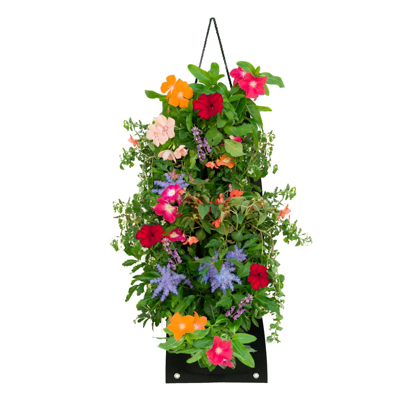 Pocket Hanging Flower Garden Seed Kit - Gallery 15