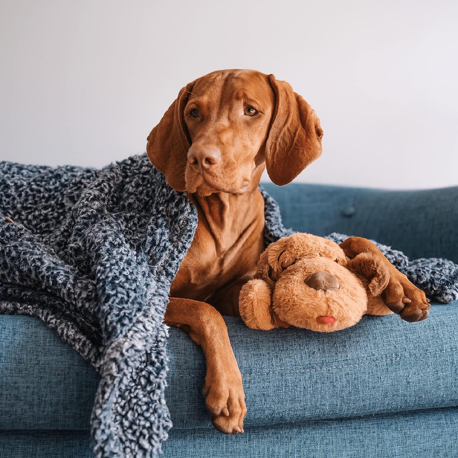 Snuggle Puppy Behavioral Aid Toy (Biscuit) - Gallery 14