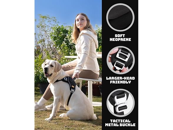DF No Pull Martingale Dog Harness and Leash