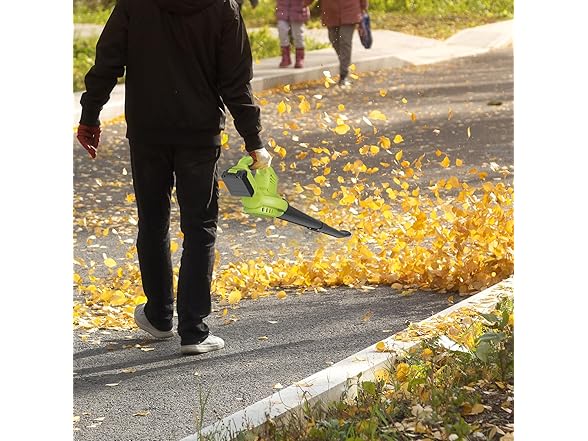 Leaf Blower Cordless with 2 Battery and Charger